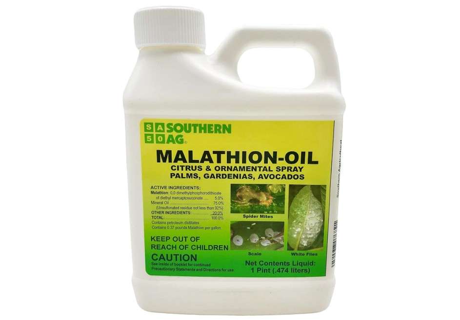 
Southern Ag Malathion-Oil Citrus and Ornamental Spray, 16 Ounce