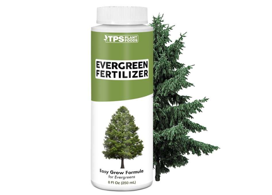 TPS NUTRIENTS Evergreen Tree Fertilizer for All Conifer Trees and Shrubs, Liquid Plant Food 8 oz (250mL)