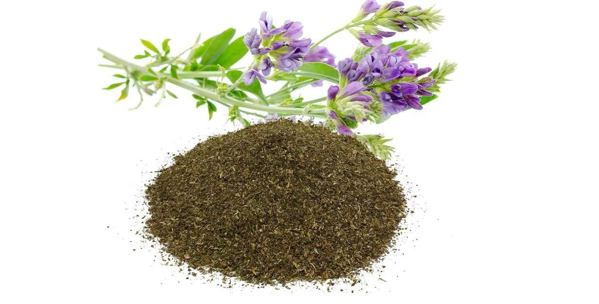 Family Farm and Feed | Natural Garden Alfalfa Meal Fertilizer | Granular Mix | 2 Pounds…
