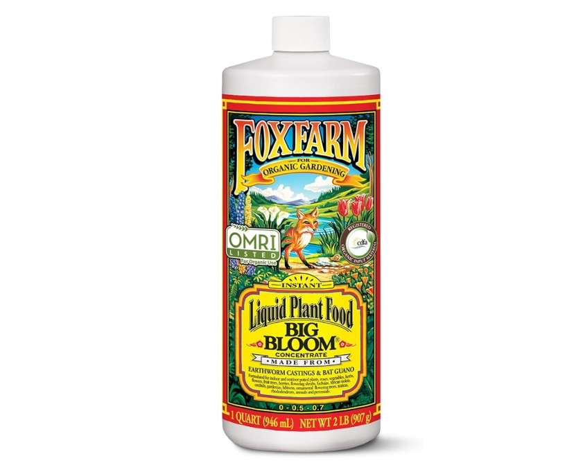  FoxFarm - Big Bloom Plant Food, Liquid Fertilizer Concentrate for Flowers, Fruits, and Vegetables, All Purpose Plant Fertilizer for Indoor & Outdoor...