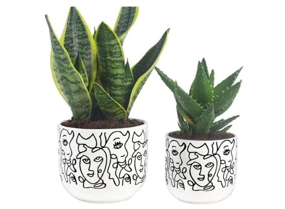  WHOMEPAA Face Image Ceramic Planter,6.6+5.4 Inch Flower Pot with Drain Hole for Indoor-Outdoor,Gardening Gift Flower Pot - Set of 2