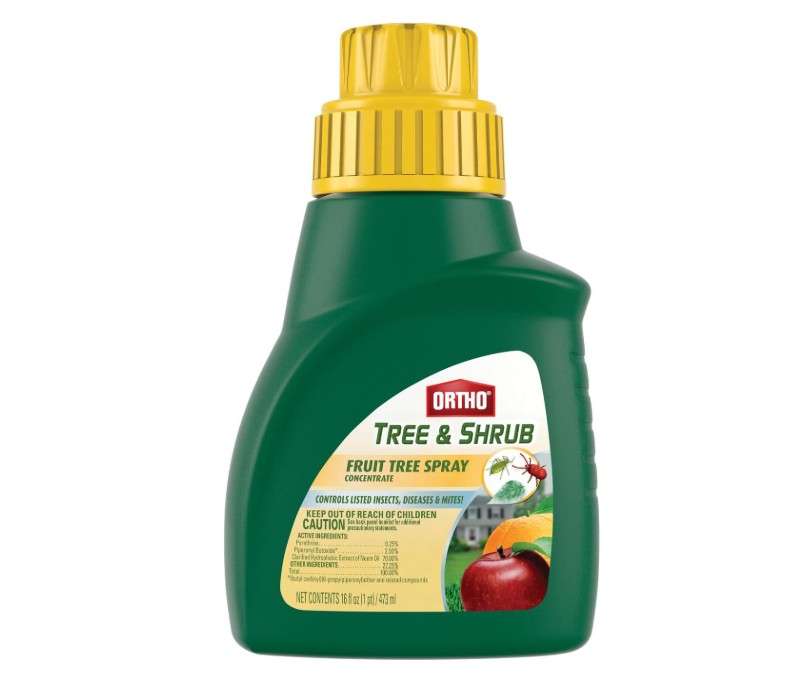  Ortho Tree & Shrub Fruit Tree Spray, 16-Ounce