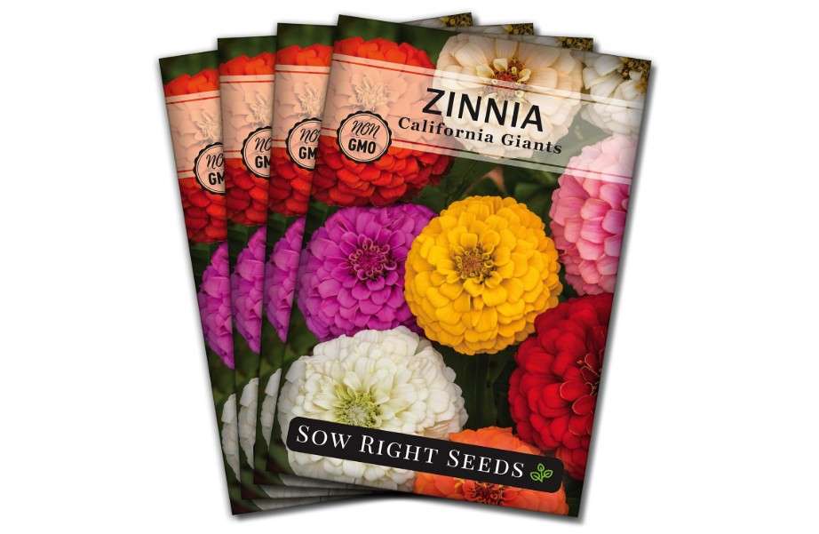 
Sow Right Seeds - California Giants Mix Zinnia Seeds for Planting - Non-GMO Heirloom Packet to Grow Your Flower Garden - Attract Bees and Butterflies