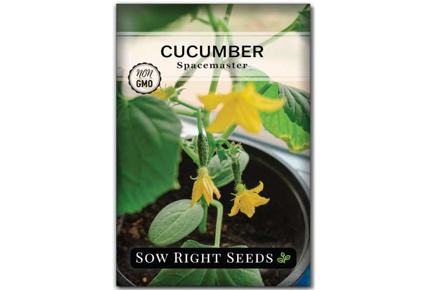 
Sow Right Seeds - Spacemaster Cucumber Seeds for Planting - Non-GMO Heirloom Packet with Instructions to Grow an Outdoor Home Vegetable Garden - Compac