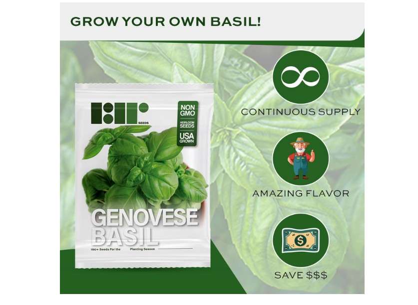 
Genovese Basil Seeds for Planting - Heirloom Non-GMO USA Grown - 150+ Seeds - Premium Sweet Basil Seeds for Indoors or Outdoors by RDR Seeds