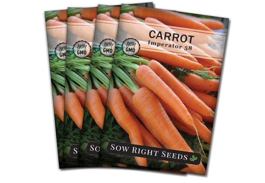 Sow Right Seeds - Imperator 58 Carrot Seed for Planting - Non-GMO Heirloom Packet with Instructions to Plant a Home Vegetable Garden - Indoors or Outdoors