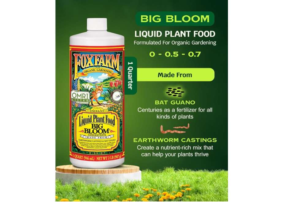 
FoxFarm - Big Bloom Plant Food, Liquid Fertilizer Concentrate for Flowers, Fruits, and Vegetables, All Purpose Plant Fertilizer for Indoor & Outdoor..