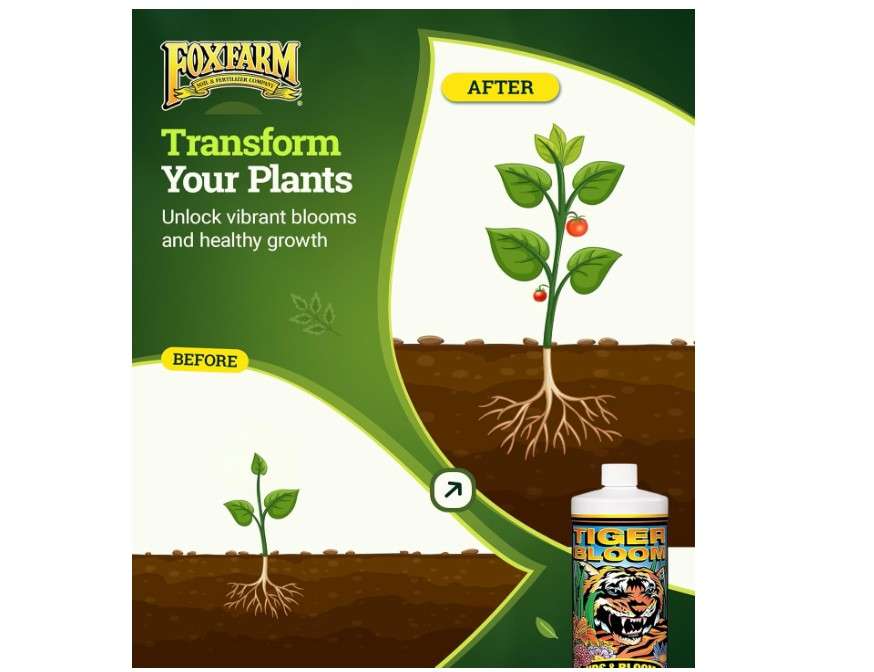 
FoxFarm Tiger Bloom Liquid Fertilizer Concentrate - Fast Acting Formula for Vicious Growth with Phosphorus - Encourages Fruit, Flower & Bud Development,..