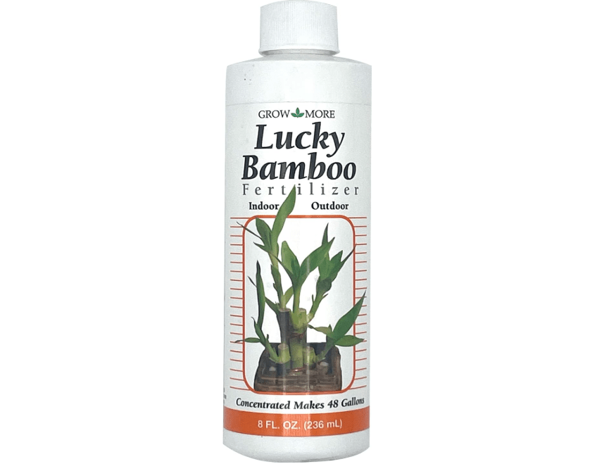 
Grow More Lucky Bamboo Fertilizer (2-2-2) - 8oz of USA-Made & Concentrated Liquid Plant Food That Makes 48 Gallons - Outdoor & Indoor Bambo