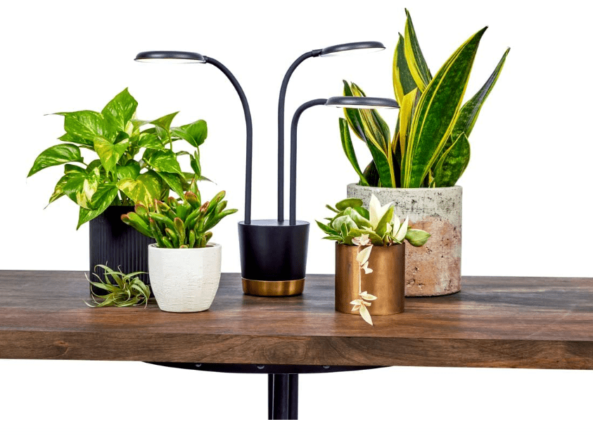 
AeroGarden Trio Grow Light for Indoor Plants, Grow Live Plants Anywhere in The Home, Adjustable Light Modes,