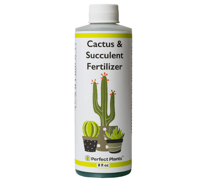  Perfect Plants Liquid Cactus & Succulent Fertilizer 8oz. | Food for Live Succulents, Cacti, Aloe & More | Indoor and Outdoor Use with Every Waterin