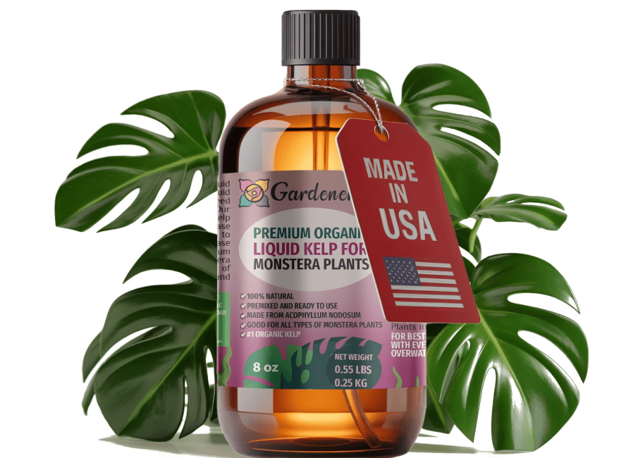 
GARDENERA Premium Organic Seaweed & Kelp Superfood for Monstera Plants - 8 oz - Liquid Kelp Fertilizer Concentrate (Makes