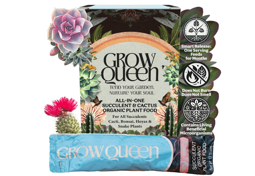  Grow Queen Complete Organic Cactus & Succulent Fertilizer, Succulent Plant Food & Cactus Food, Bonsai, Snake Plant Fertilizer, 