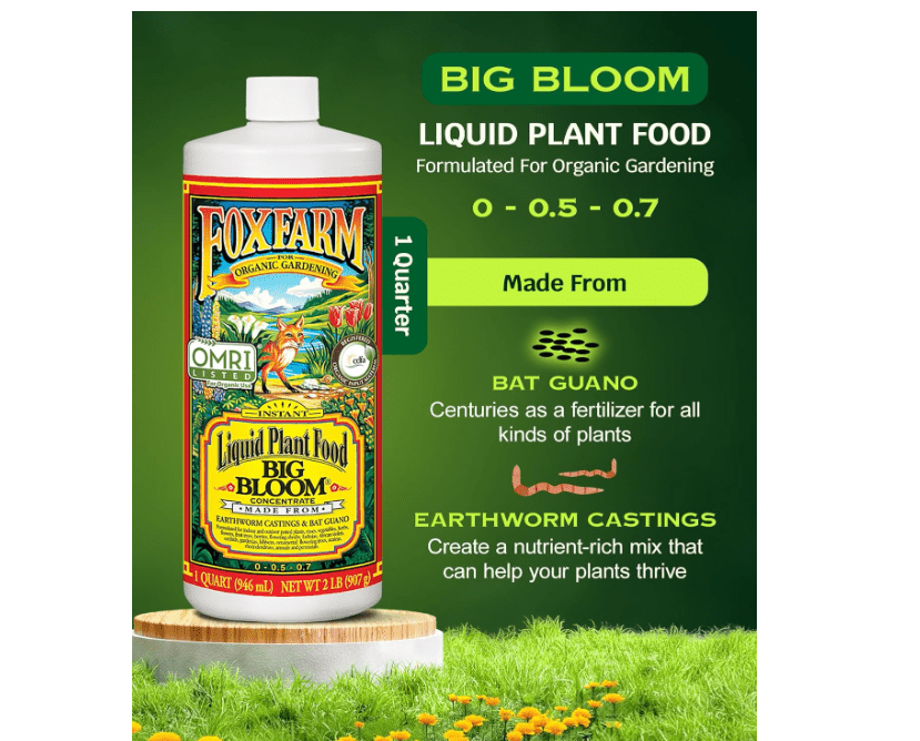 
FoxFarm - Big Bloom Plant Food, Liquid Fertilizer Concentrate for Flowers, Fruits, and Vegetables, All Purpose Plant Fertilizer for Indoor 