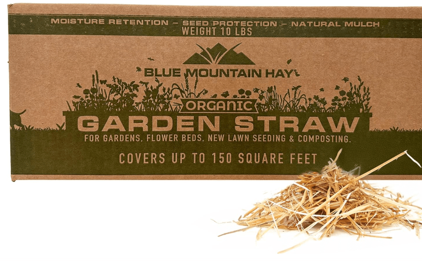 
Blue Mountain Hay | Organic Garden Straw (10 lb) | Natural Mulch for Gardening, Flower Beds, Yard Landscaping, New Lawn Grass Seeding, Composting