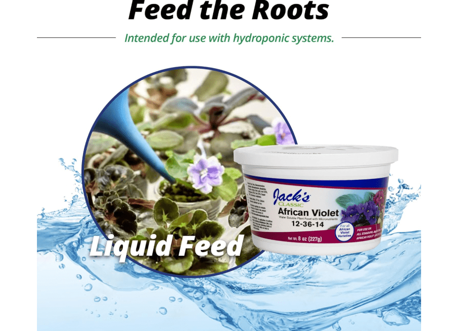  Jack's Classic 12-36-14 African Violet Water-Soluble Fertilizer with Micronutrients for Developing Strong Colorful Plants, 8oz