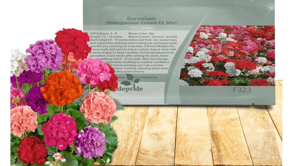  Outsidepride Mix Geranium Seeds for Planting - 200 Pcs Annual, Heat & Drought Tolerant Flower Seeds with Green Foliage & Mix Blooms for Pots