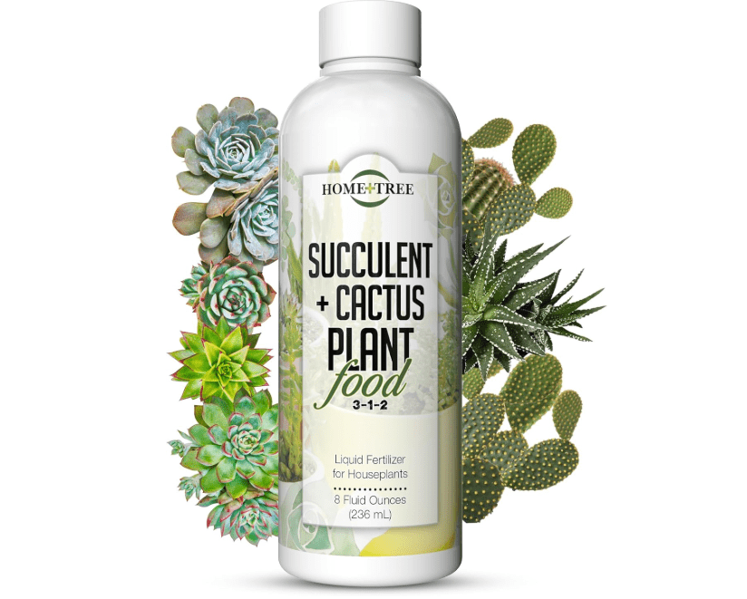  Succulent and Cactus Fertilizer by Home + Tree - Every Bottle Sold Plants A T
