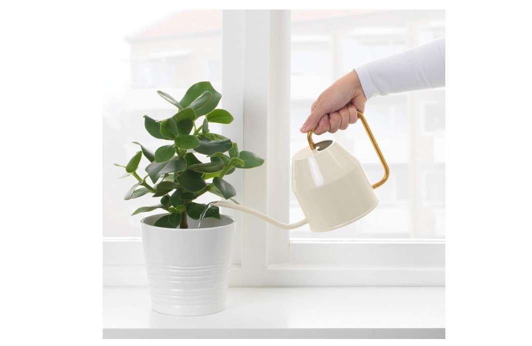 
Ikea VATTENKRASSE watering can, 0.9 l, ivory/gold-colour