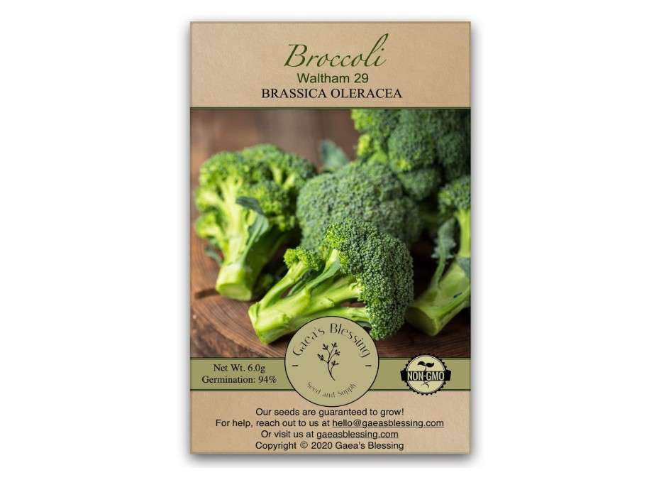 
Gaea's Blessing Seeds - Broccoli Seeds - Waltham 29 - Non-GMO with Easy to Follow Instructions Open Pollinated, 94% Germination Rate
