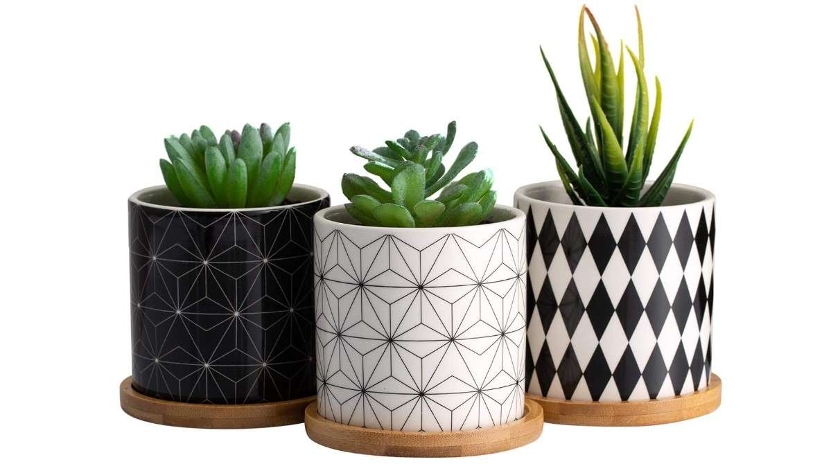 Dsben 3.2 Inch Succulent Plant Pots, Small Modern Flower Ceramic Planter Indoor with Bamboo Tray for Cactus, Herbs, Home, Set of 3 (Plants Not Included)