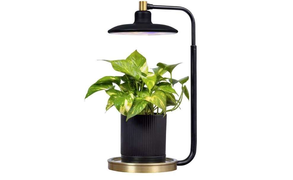 
AeroGarden Tabletop Grow Light for Indoor Plants, Grow Live Plants Anywhere in The Home, Adjustable Light Modes, Black