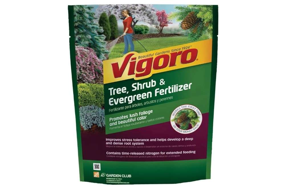 3.5 lb. Tree, Shrub and Evergreen Plant Food-Vigoro-124260 (1 Pack)
