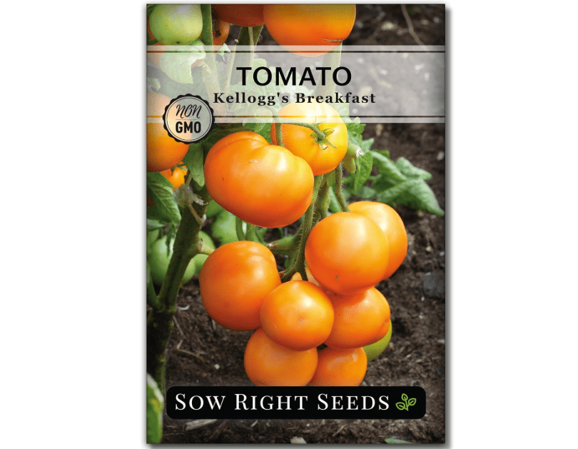 
Sow Right Seeds - Kellogg’s Breakfast Tomato Seeds for Planting - Non-GMO Heirloom Packet with Instructions to Plant a Home Vegetable Garden - 