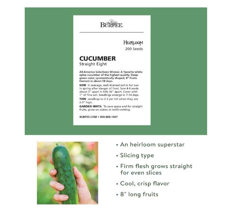 Burpee 'Straight Eight' Slicing Cucumber Seeds, 200 Non-GMO seeds, Heirloom