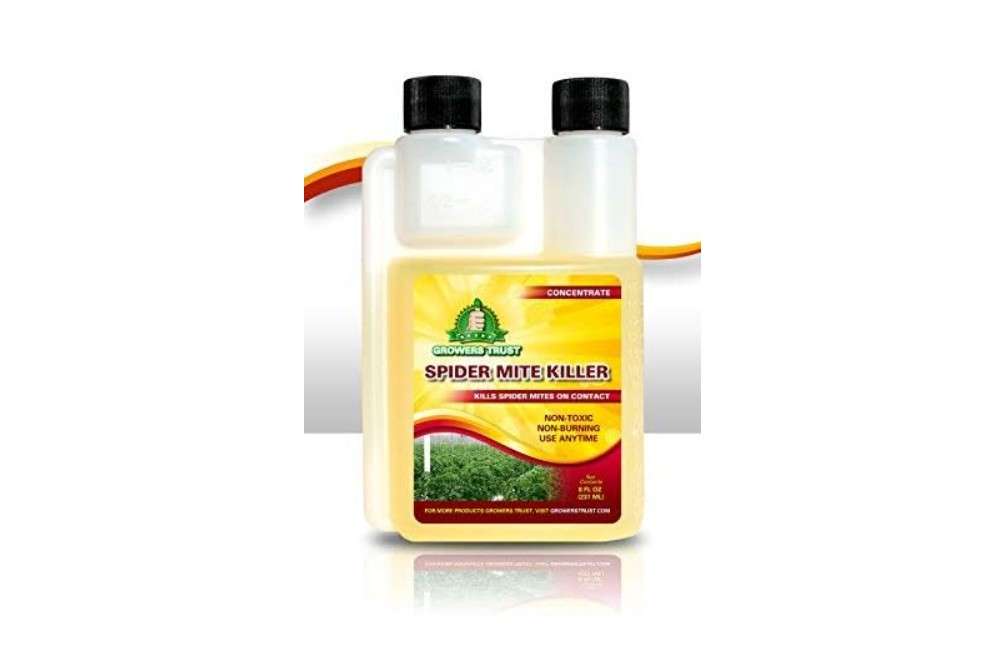  Growers Trust Spider Mite Killer Non-Toxic, Biodegradable - Natural Pesticide -Organic Ingredients-Earth Friendly Pest Control(Solution Makes 10 gallons RTU )