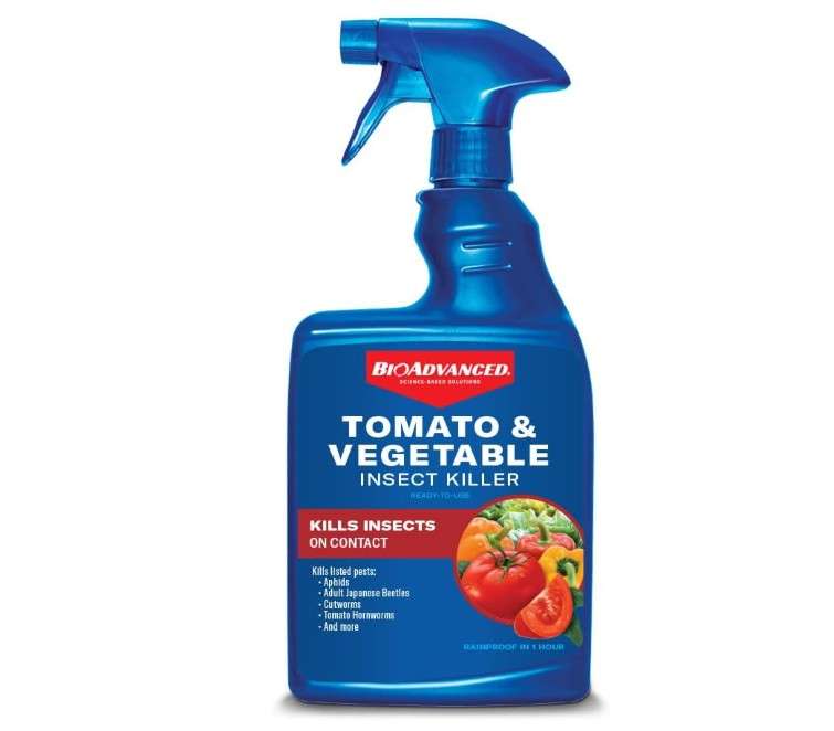 
BioAdvanced Tomato & Vegetable Pest Control and Insect Killer, 24-Ounce, Ready-to-Use