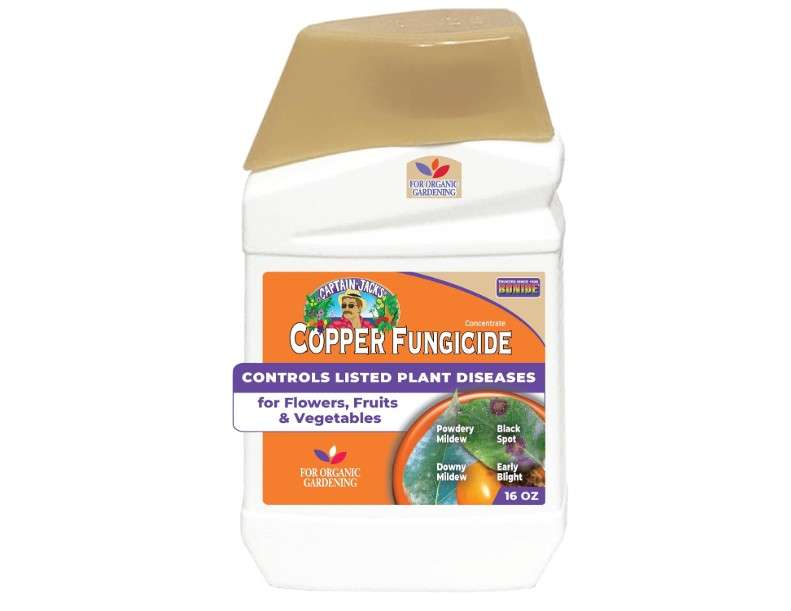  Bonide Captain Jack Copper Fungicide 16 oz Concentrated Plant Disease Control Solution for Organic Gardening
