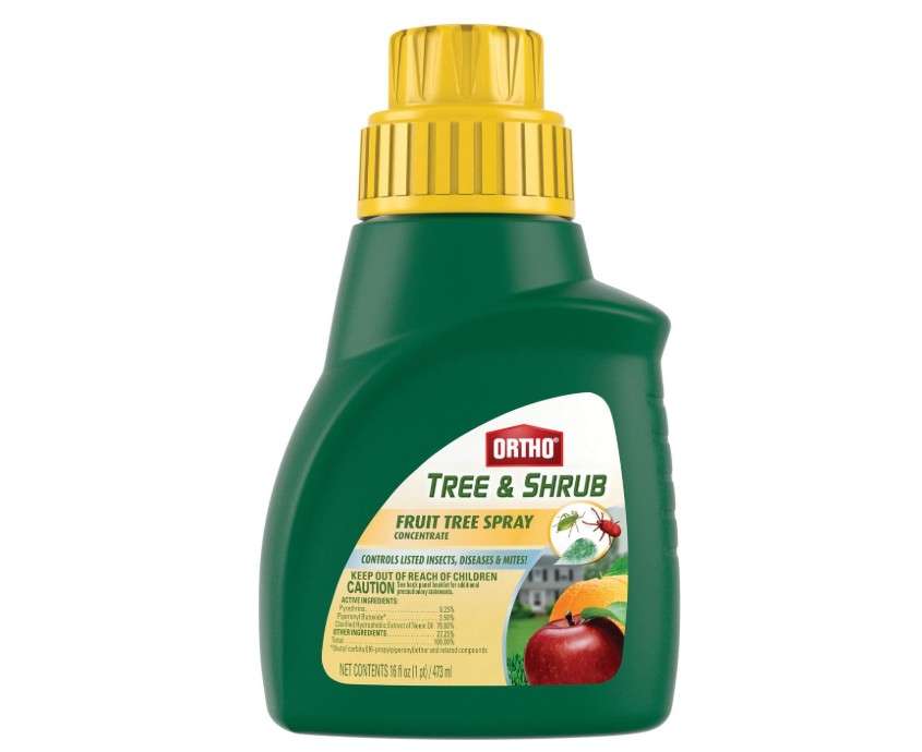Ortho Tree & Shrub Fruit Tree Spray, 16-Ounce