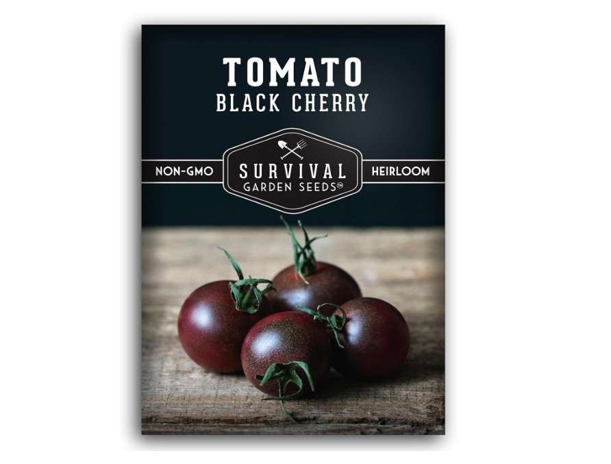  Black Cherry Tomato Seeds for Planting - 1 Seed Packet with Instructions to Plant & Grow Reddish-Purple Cherry Tomatoes in Your Home Vegetable Garden 