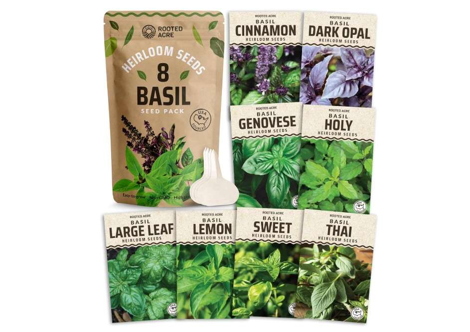 
Rooted Acre 8 Basil Herb Seeds Pack – 4,000+ 𝗡𝗢𝗡-𝗚𝗠𝗢 𝗨𝗦𝗔 Heirloom Seeds – Genovese, Thai, Lemon, Holy Tulsi & More – High