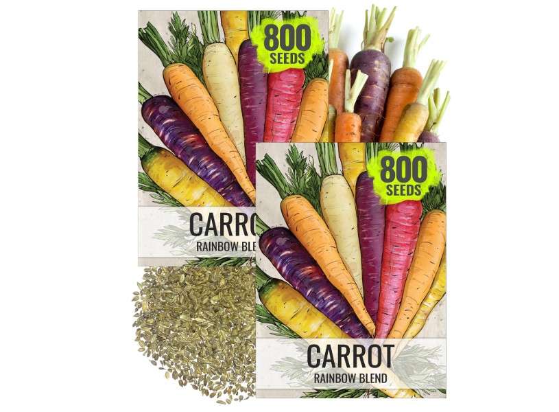 
Seed Needs Carrot Seeds for Planting Rainbow Carrots - Non-GMO Heirloom & Untreated Veggie Seed to Grow a Home Grown Vegetable Garden in Fall or Spring