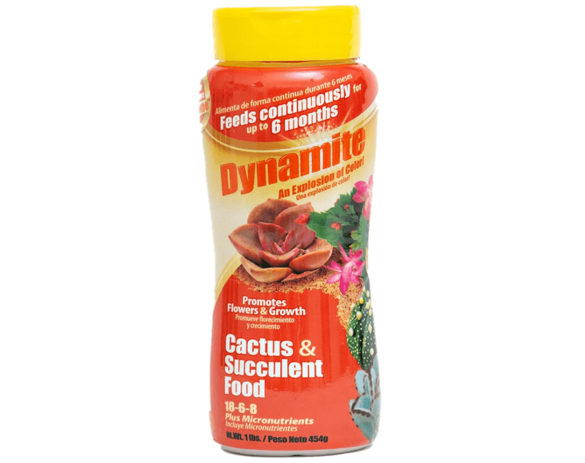 Dynamite 82170 Sun Bulb Cactus & Succulent Food