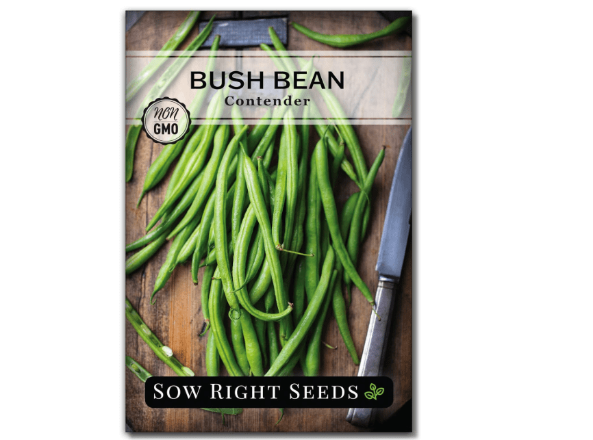 
Sow Right Seeds - Contender Bush Green Bean Seeds for Planting - Non-GMO Heirloom Seed Packet - Stringless Variety to Plant an Outdoor Home Vegetable Garden.