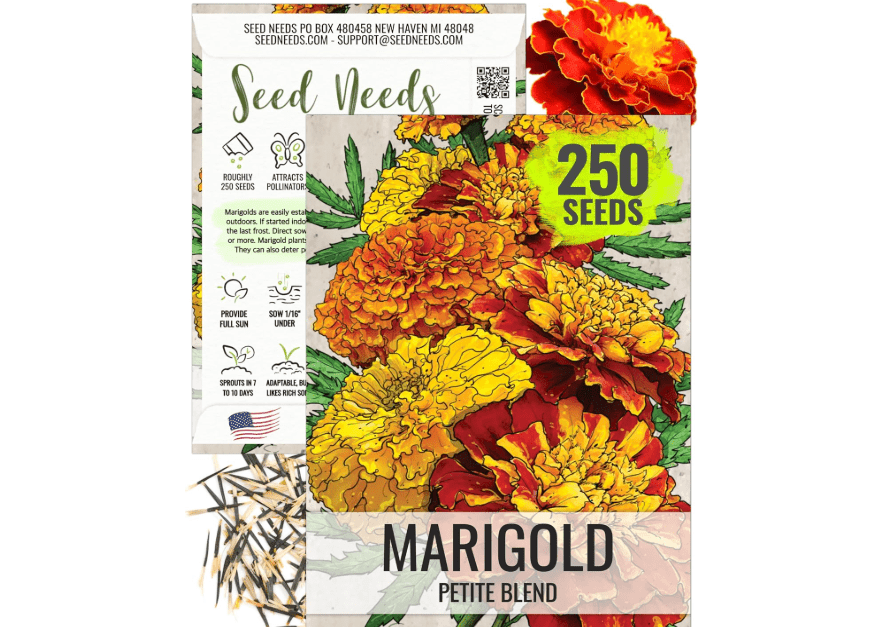  Seed Needs. Petite Marigold Seeds - Blend of 250 Heirloom Seeds for Planting Tagetes patula - Ruffled Flowers to Attract Pollinators and to Grow a Butterfl