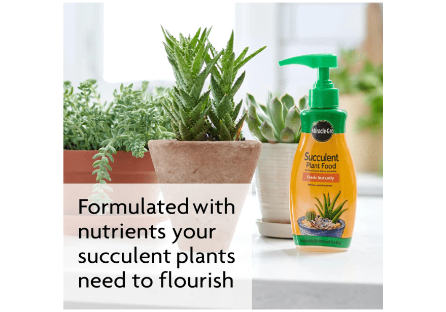 
Miracle-Gro Succulent Plant Food, 8 oz., For Succulents including Cacti, Jade, And Aloe