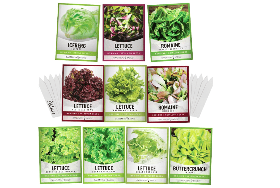 Gardeners Basics, Salad Greens Lettuce Seeds Heirloom Vegetable Seed 23,000 Seeds for Planting Indoors and Outdoor 10 Packs - Buttercrunch, Romaine, Iceberg.