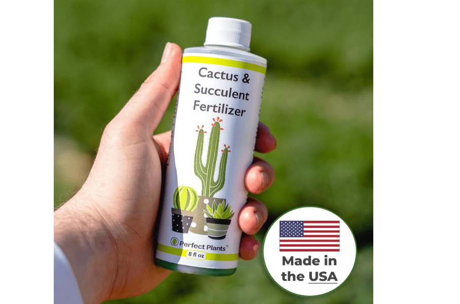 
Perfect Plants Liquid Cactus & Succulent Fertilizer 8oz. | Food for Live Succulents, Cacti, Aloe & More | Indoor and Outdoor Use with Every Watering
