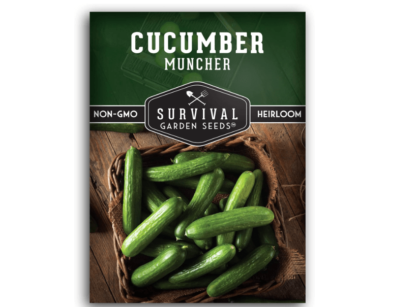 
Muncher Cucumber Seeds for Planting | Burpless Variety with Smooth Skin for Snacking or Slicing – Survival Garden Seeds