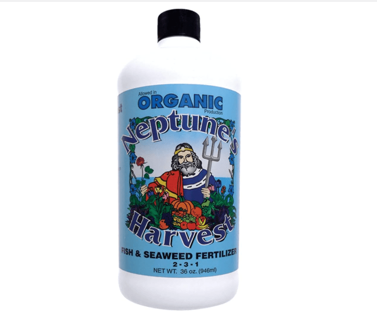 
Neptune's Harvest Fish & Seaweed Fertilizer 2-3-1 (36 Ounce)