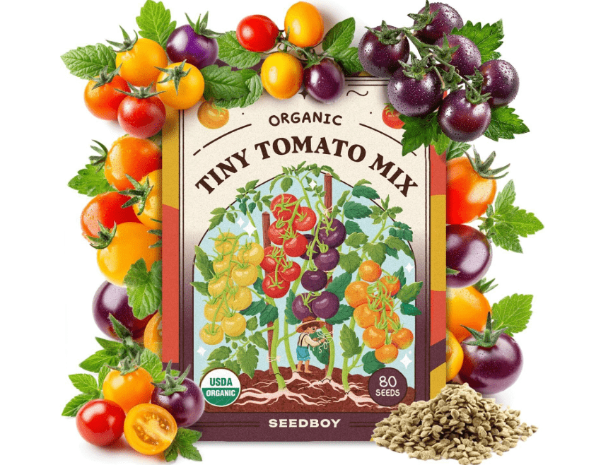 
Seedboy Organic Rainbow Cherry Tomato Seeds for Planting Indoor and Outdoor, Non-GMO and USDA Certified Vegetable Seed Packet for Hydroponic 