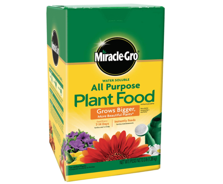 Miracle-Gro Water Soluble All Purpose Plant Food, Fertilizer for Indoor or Outdoor Flowers, Vegetables o