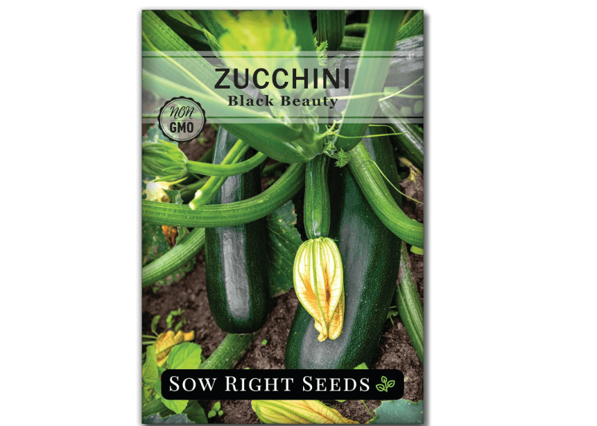 
Sow Right Seeds - Black Beauty Zucchini Seeds for Planting - Non-GMO Heirloom Packet with Instructions to Plant a Home Veg