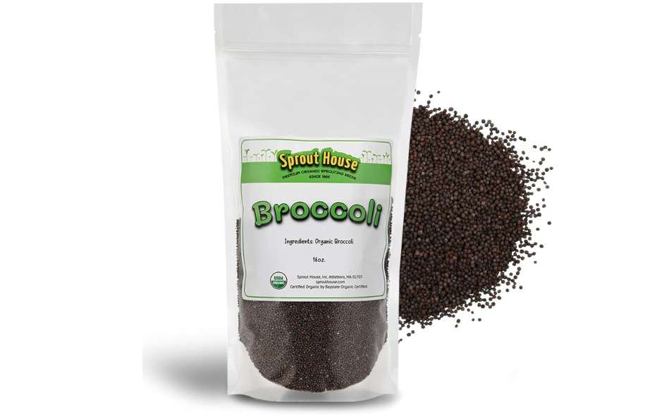 
The Sprout House Broccoli Sprouting and Microgreen Seeds - Premium Organic Broccoli Sprouts, Non-GMO, High-Germination, Easy to Grow, Resealable Bag,