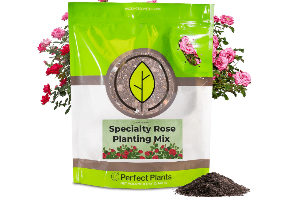 Specialty Rose Planting Mix by Perfect Plants