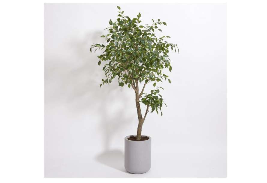  CG Hunter Faux Ficus Tree, Premium Artificial Indoor Plant Stands 6.5’ Tall, Lifelike-Leaves and Hand Painted Trunk Create Realistic Faux-Ficus Tree